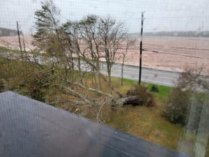 Hurricane Fiona 1