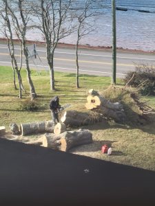 Hurricane Fiona 12